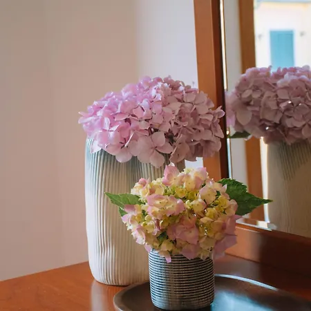 Just Like - Casa Dos Pinheiros Villa Caminha